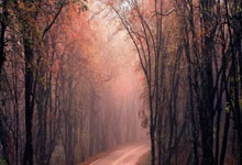 马洛塔：国米在欧冠10场赚1亿欧，在意甲即使夺冠&38场只赚9500万.