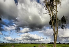 波波维奇突然遭遇健康问题 助教约翰逊将代为执教央视网.