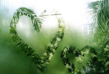 PG：水晶宫3-0完胜富勒姆晋级足总杯半决赛，近6个客场全胜且一球不失.